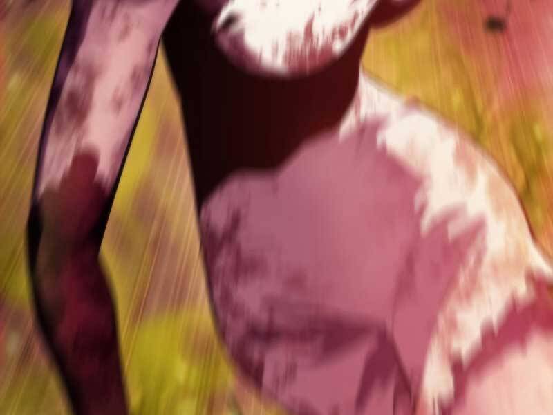 Người Chơi Mới Cấp Tối Đa Chap 545 - Next Chap 546