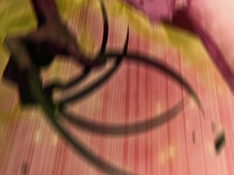 Người Chơi Mới Cấp Tối Đa Chap 545 - Next Chap 546