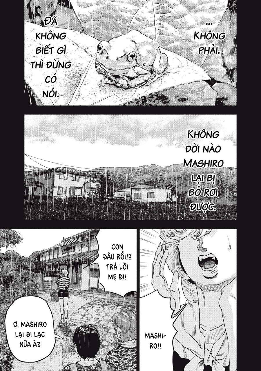 Người Đàn Ông Không Thể Ly Hôn Case 2 Chap 311 - Next Chap 312