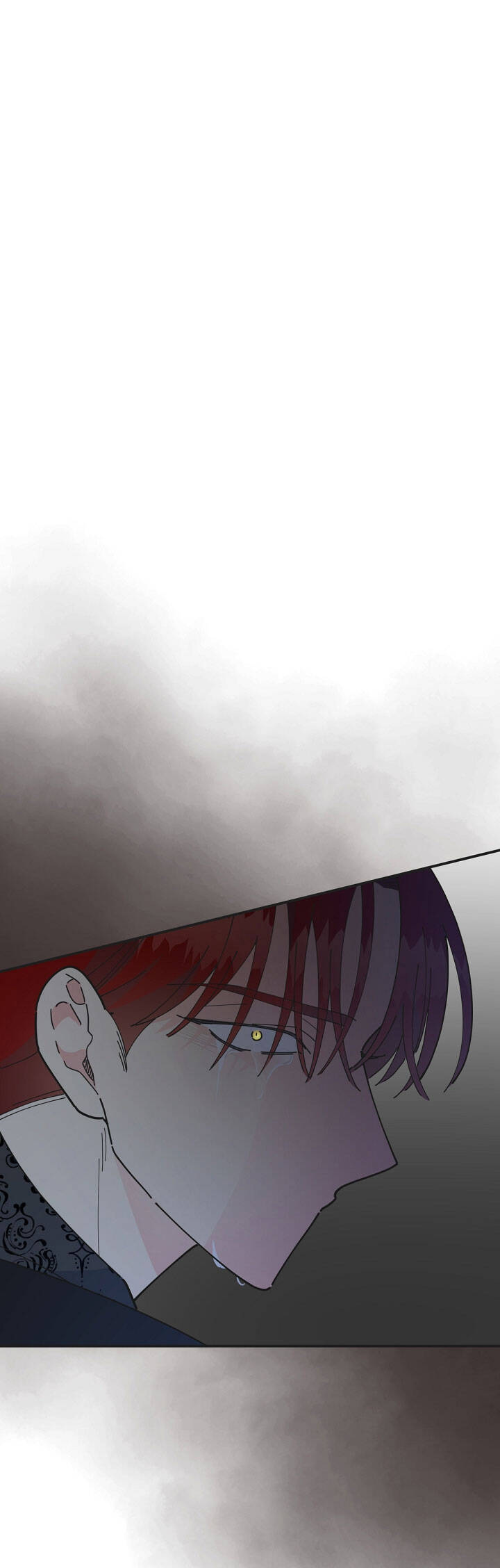 Người Hùng Của Ác Nữ Chap 77 - Next Chap 78