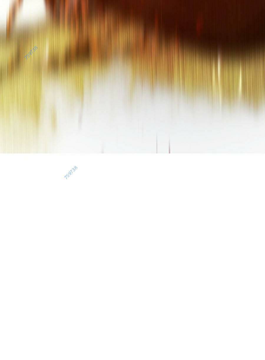 Người Hùng Thực Tế Ảo Chap 38 - Next Chap 39