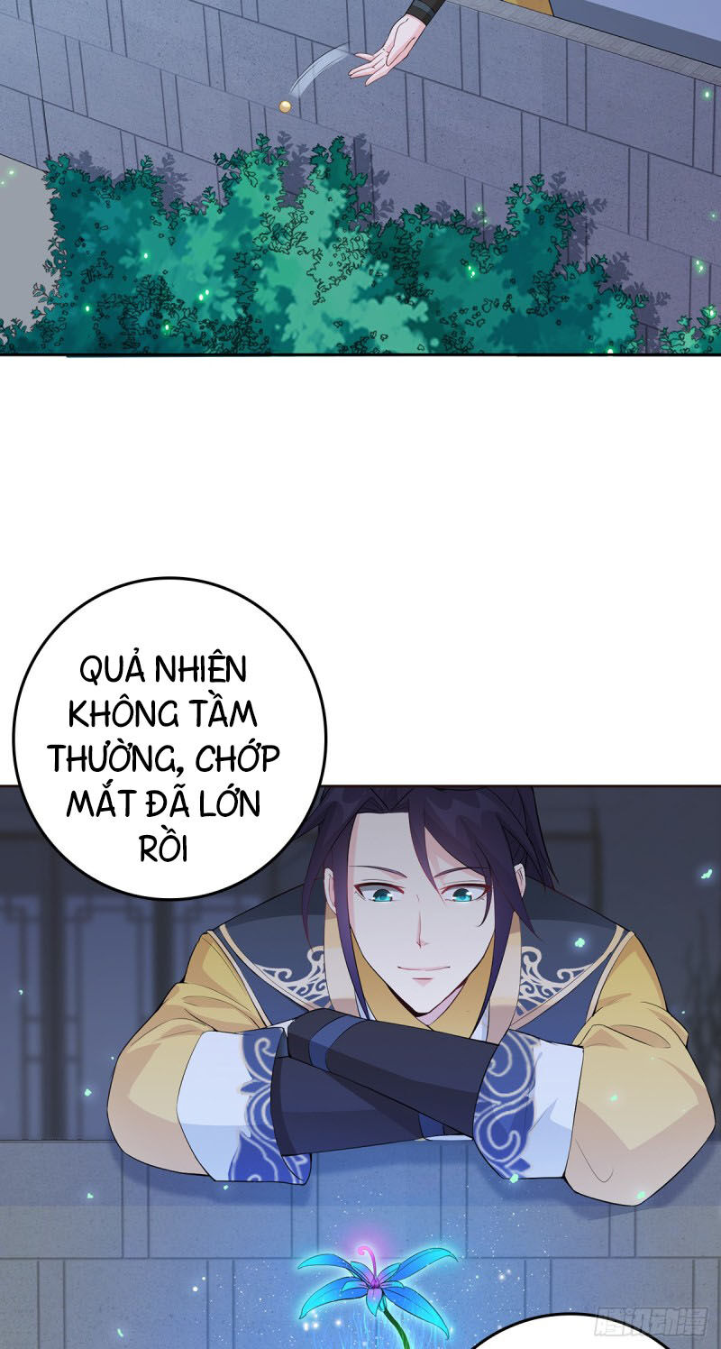 Người Ở Rể Bị Ép Thành Phản Diện Chap 6 - Next Chap 7