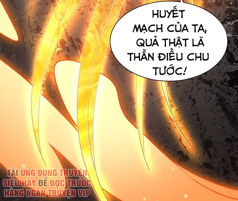 Người Ở Rể Bị Ép Thành Phản Diện Chap 60 - Next Chap 61