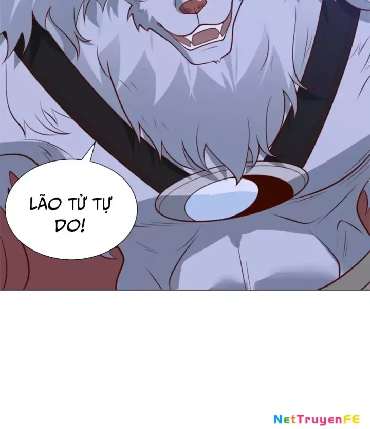 Người Ở Rể Bị Ép Thành Phản Diện Chap 635 - Next Chap 636