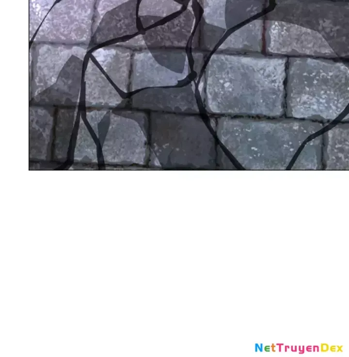 Người Ở Rể Bị Ép Thành Phản Diện Chap 639 - Next Chap 640