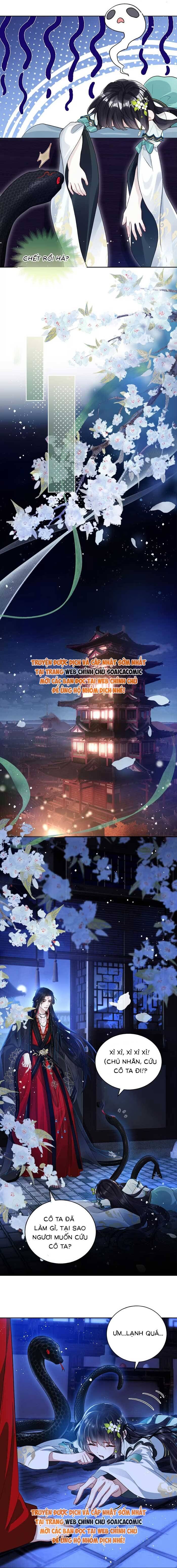 Nguyện Dâng Thân Cá Mặn Này Cho Sư Tổ Chap 5 - Next Chap 6
