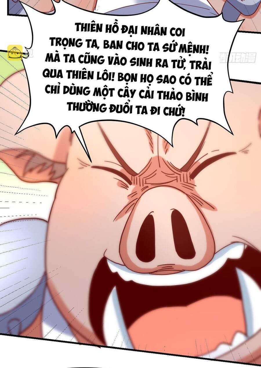Nguyên Lai Ta Là Tu Tiên Đại Lão Chap 111 - Next Chap 112