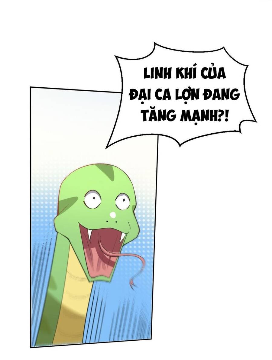 Nguyên Lai Ta Là Tu Tiên Đại Lão Chap 112 - Next Chap 113