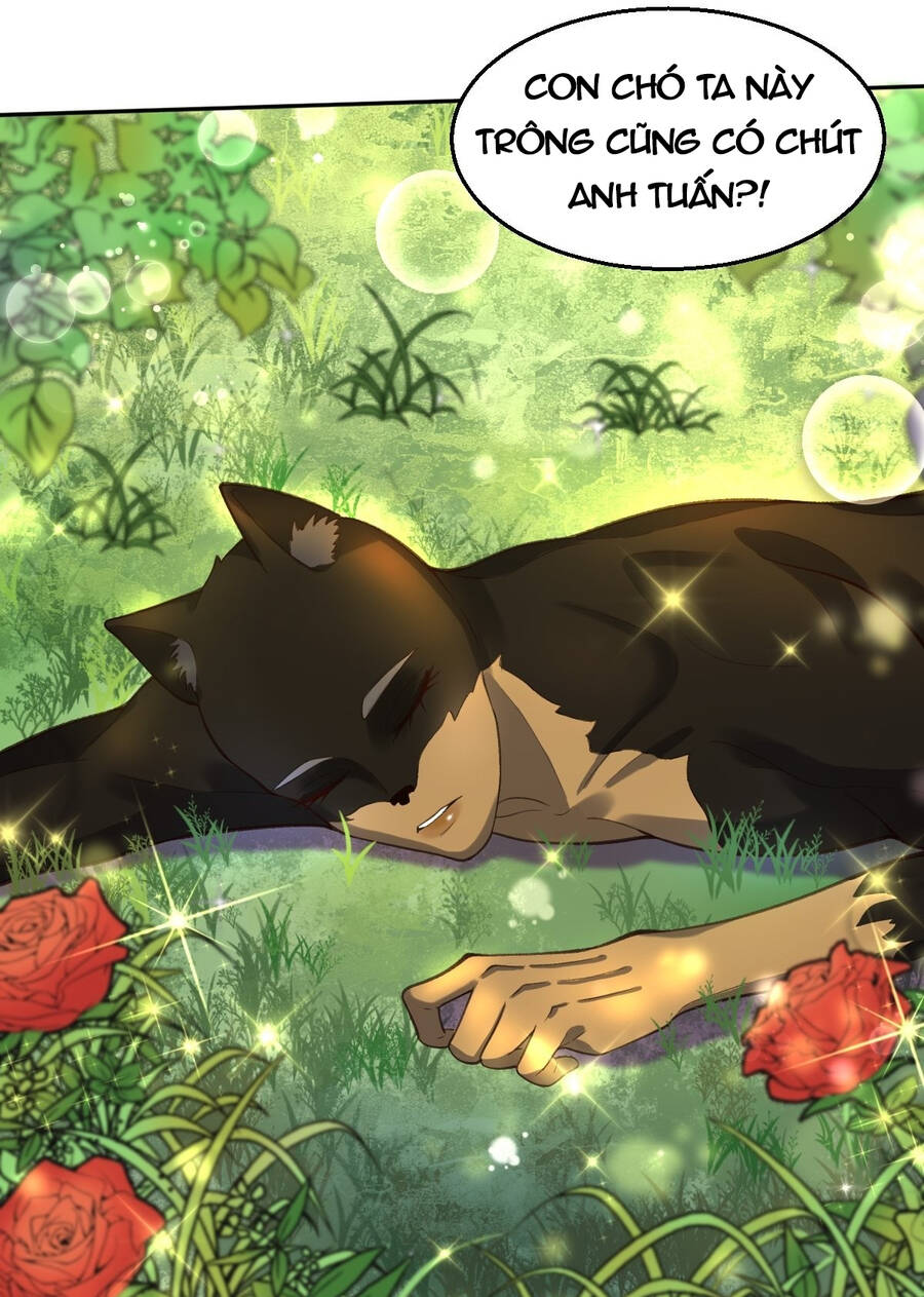 Nguyên Lai Ta Là Tu Tiên Đại Lão Chap 126 - Next Chap 127