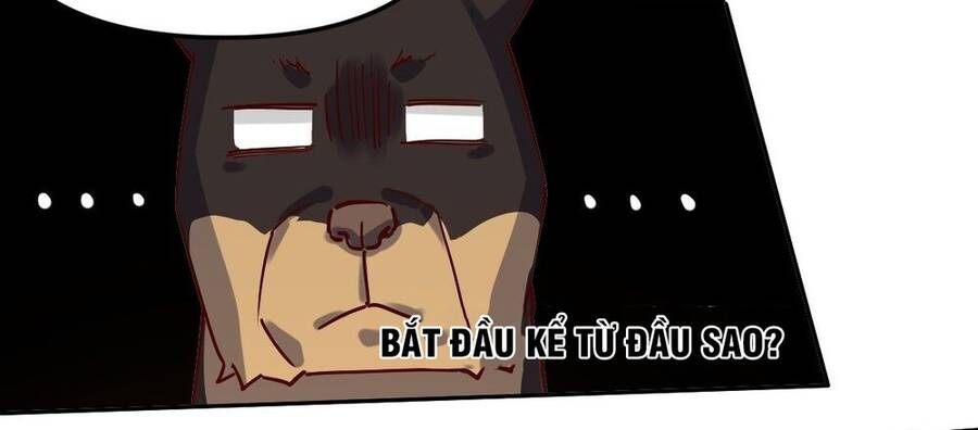 Nguyên Lai Ta Là Tu Tiên Đại Lão Chap 14 - Next Chap 15