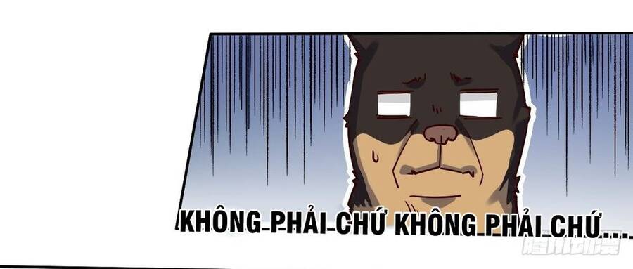 Nguyên Lai Ta Là Tu Tiên Đại Lão Chap 14 - Next Chap 15