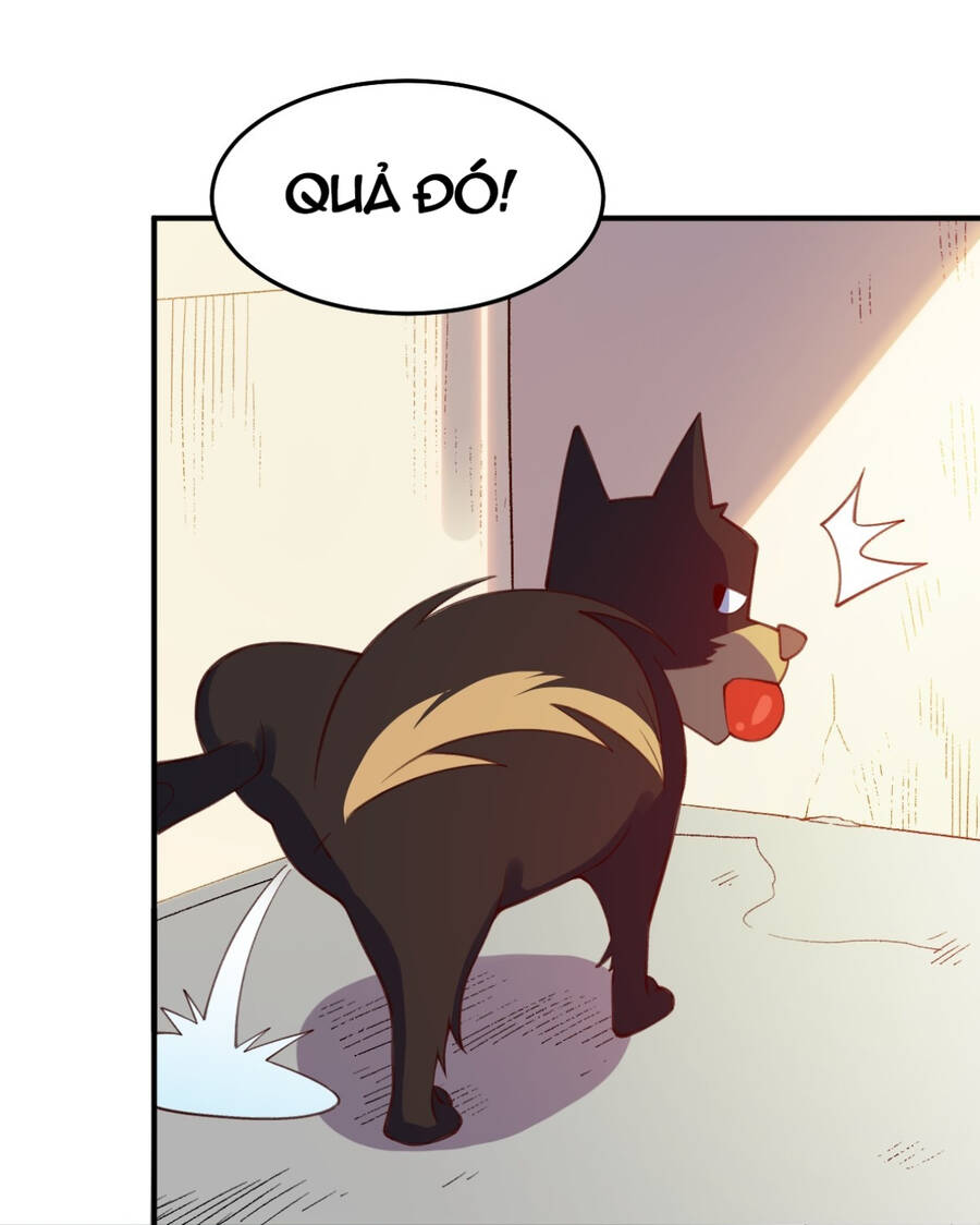 Nguyên Lai Ta Là Tu Tiên Đại Lão Chap 205 - Next Chap 206