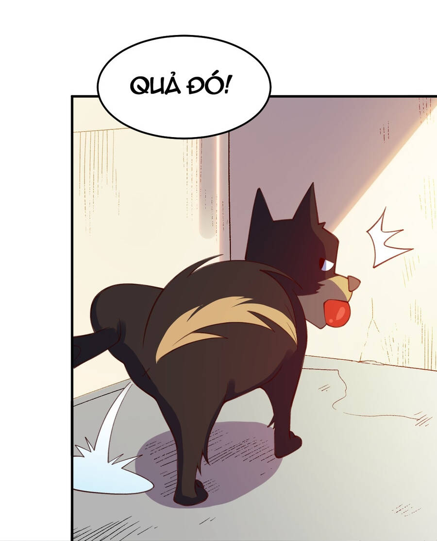Nguyên Lai Ta Là Tu Tiên Đại Lão Chap 205 - Next Chap 206