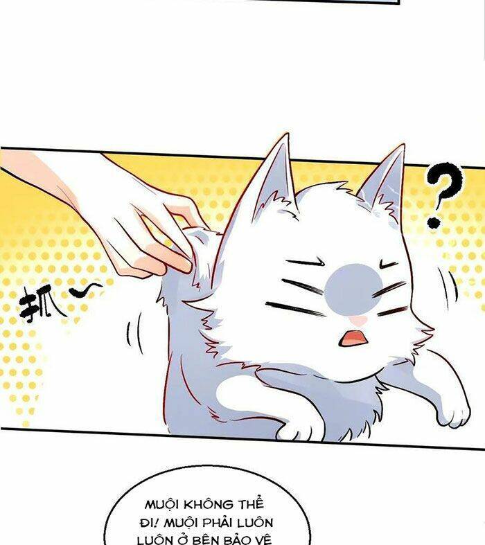 Nguyên Lai Ta Là Tu Tiên Đại Lão Chap 241 - Next Chap 242