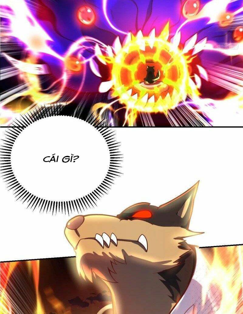Nguyên Lai Ta Là Tu Tiên Đại Lão Chap 261 - Next Chap 262