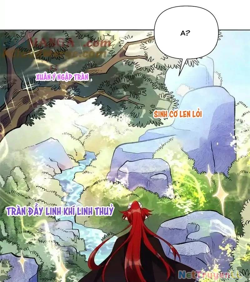 Nguyên Lai Ta Là Tu Tiên Đại Lão Chap 435 - Next Chap 436