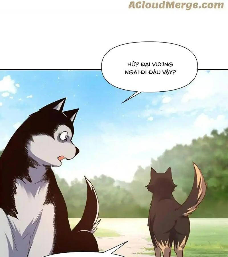Nguyên Lai Ta Là Tu Tiên Đại Lão Chap 455 - Next Chap 456