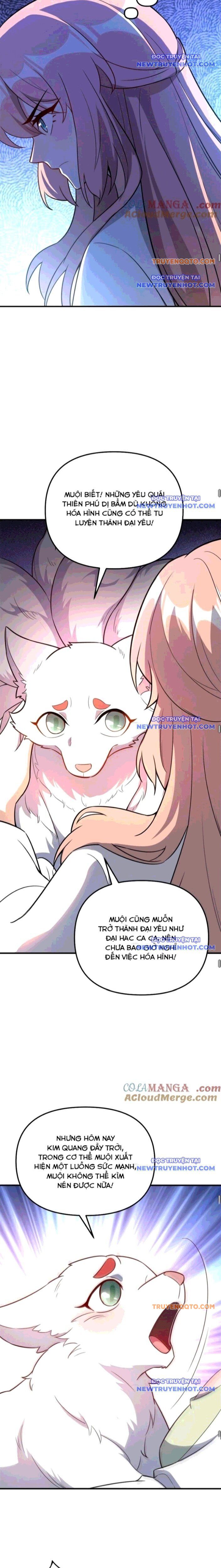 Nguyên Lai Ta Là Tu Tiên Đại Lão Chap 541 - Next Chap 542