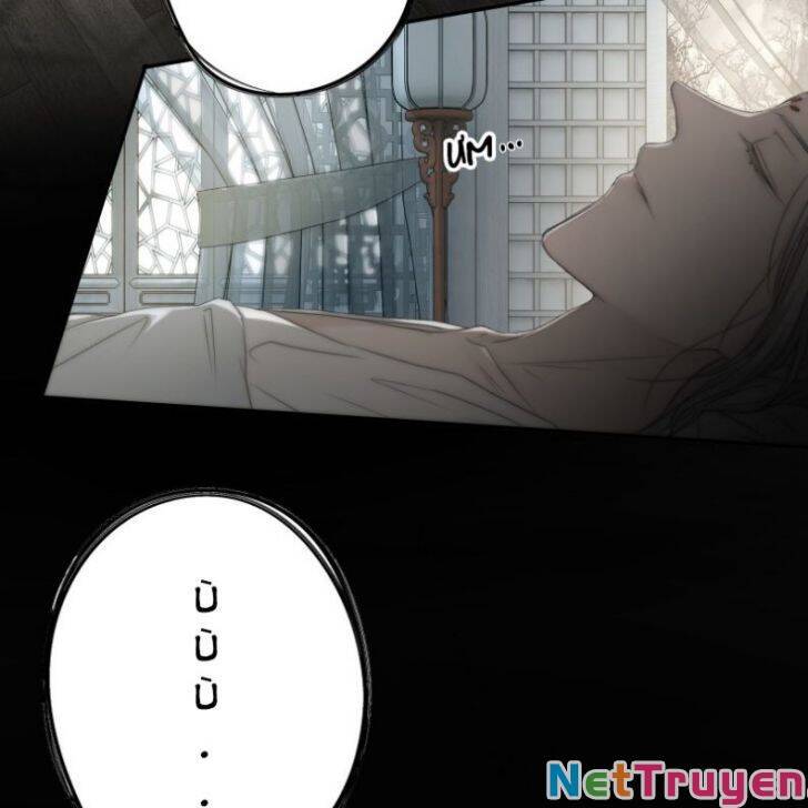 Nguyệt Trụy Trọng Minh Chap 19 - Next Chap 20