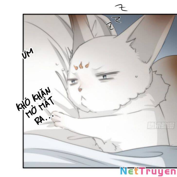 Nguyệt Trụy Trọng Minh Chap 19 - Next Chap 20