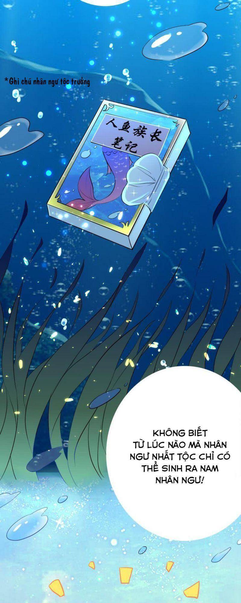 Nhân Ngư Học Trưởng, Đừng Ôm Ta! Chap 2 - Next Chap 3