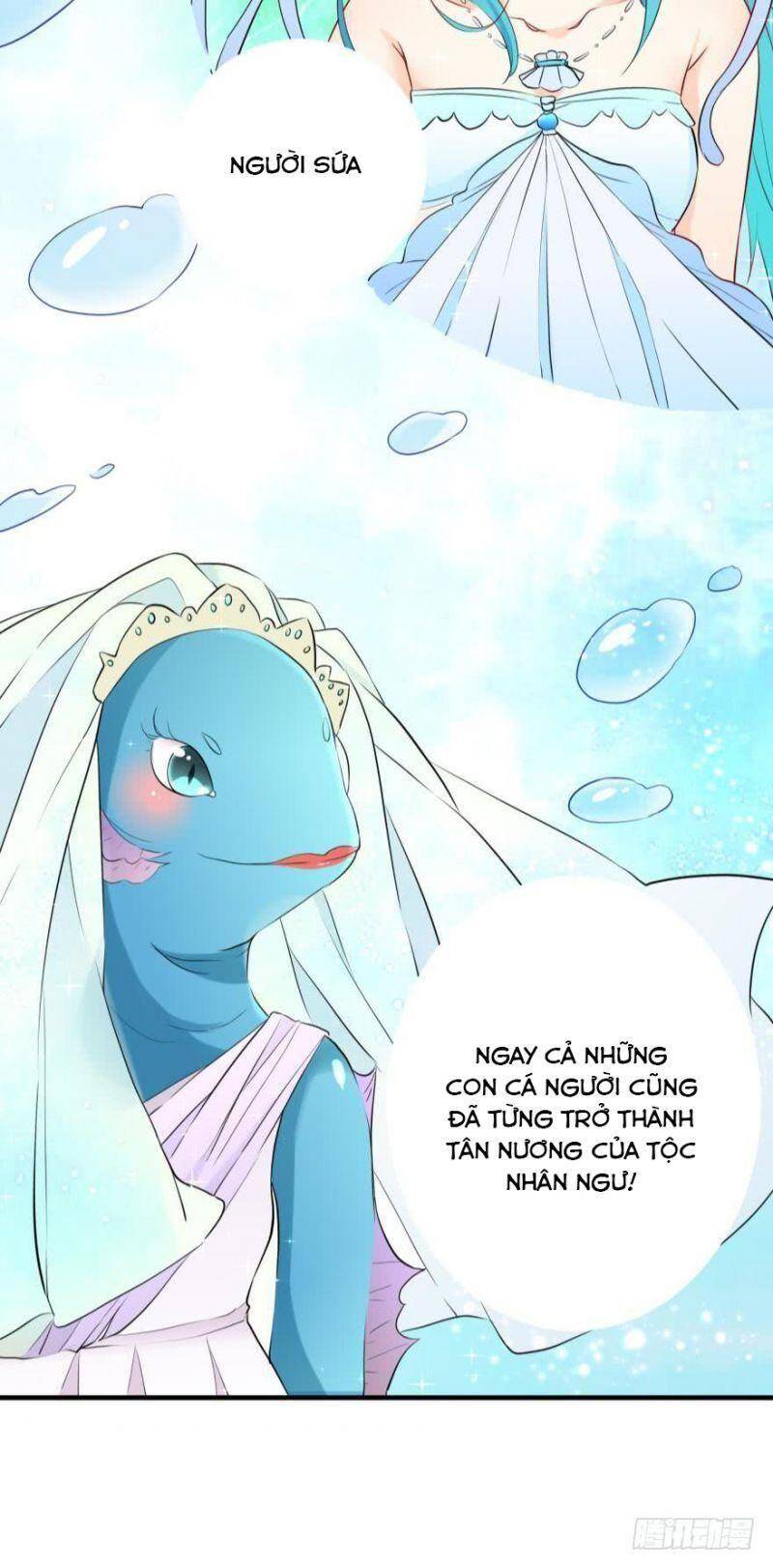 Nhân Ngư Học Trưởng, Đừng Ôm Ta! Chap 2 - Next Chap 3