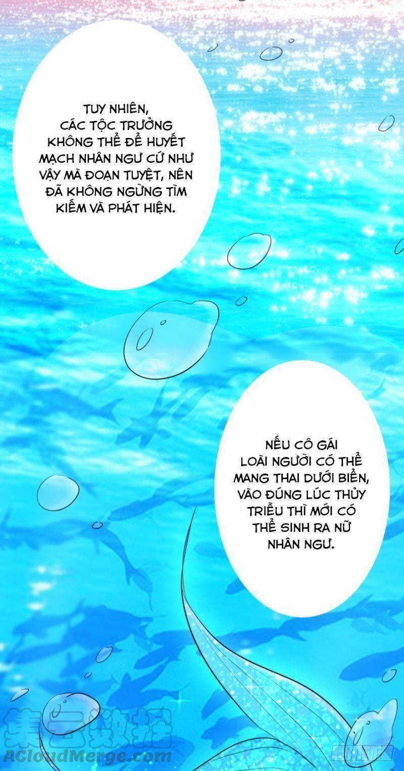 Nhân Ngư Học Trưởng, Đừng Ôm Ta! Chap 2 - Next Chap 3
