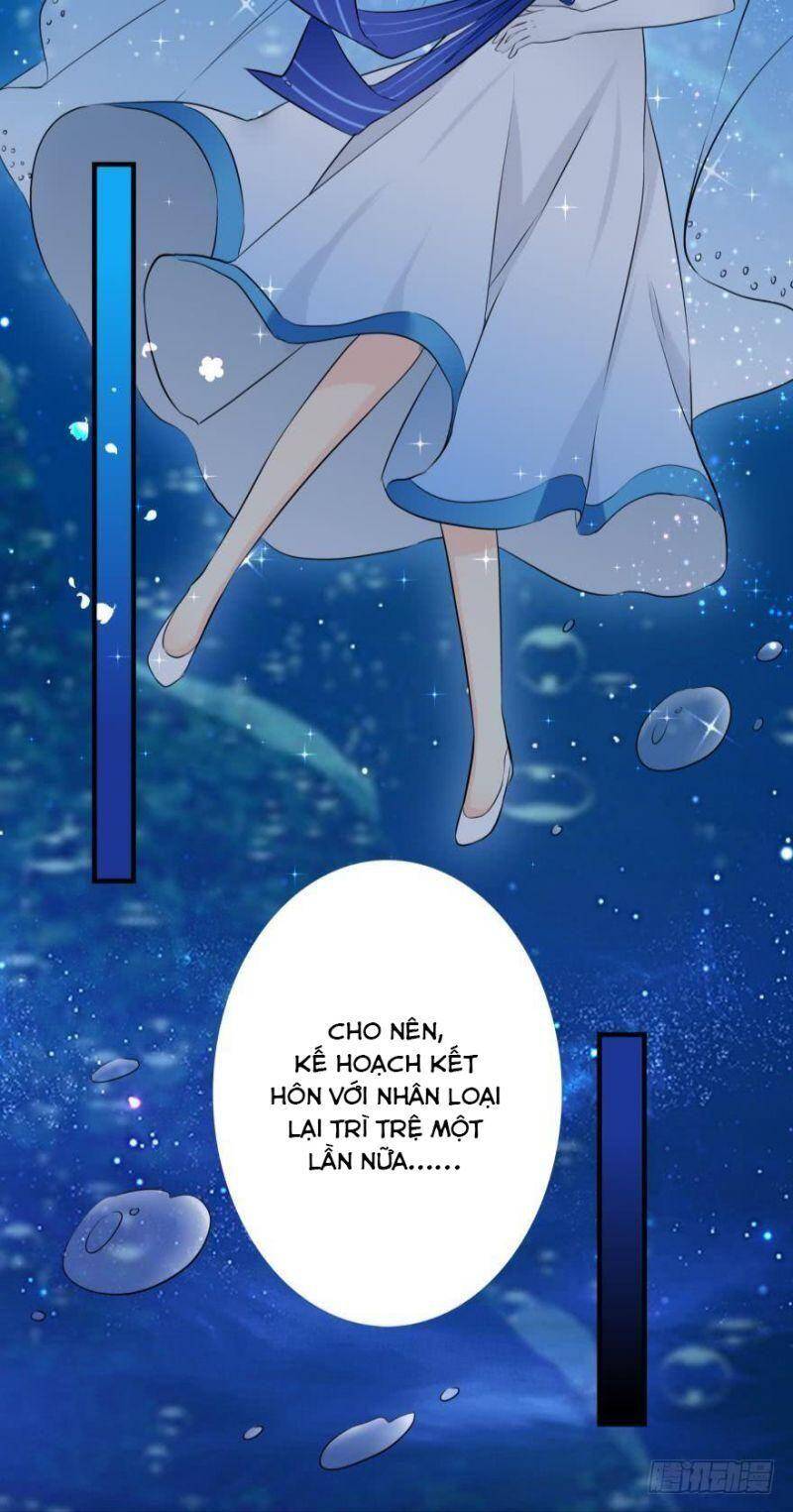 Nhân Ngư Học Trưởng, Đừng Ôm Ta! Chap 2 - Next Chap 3