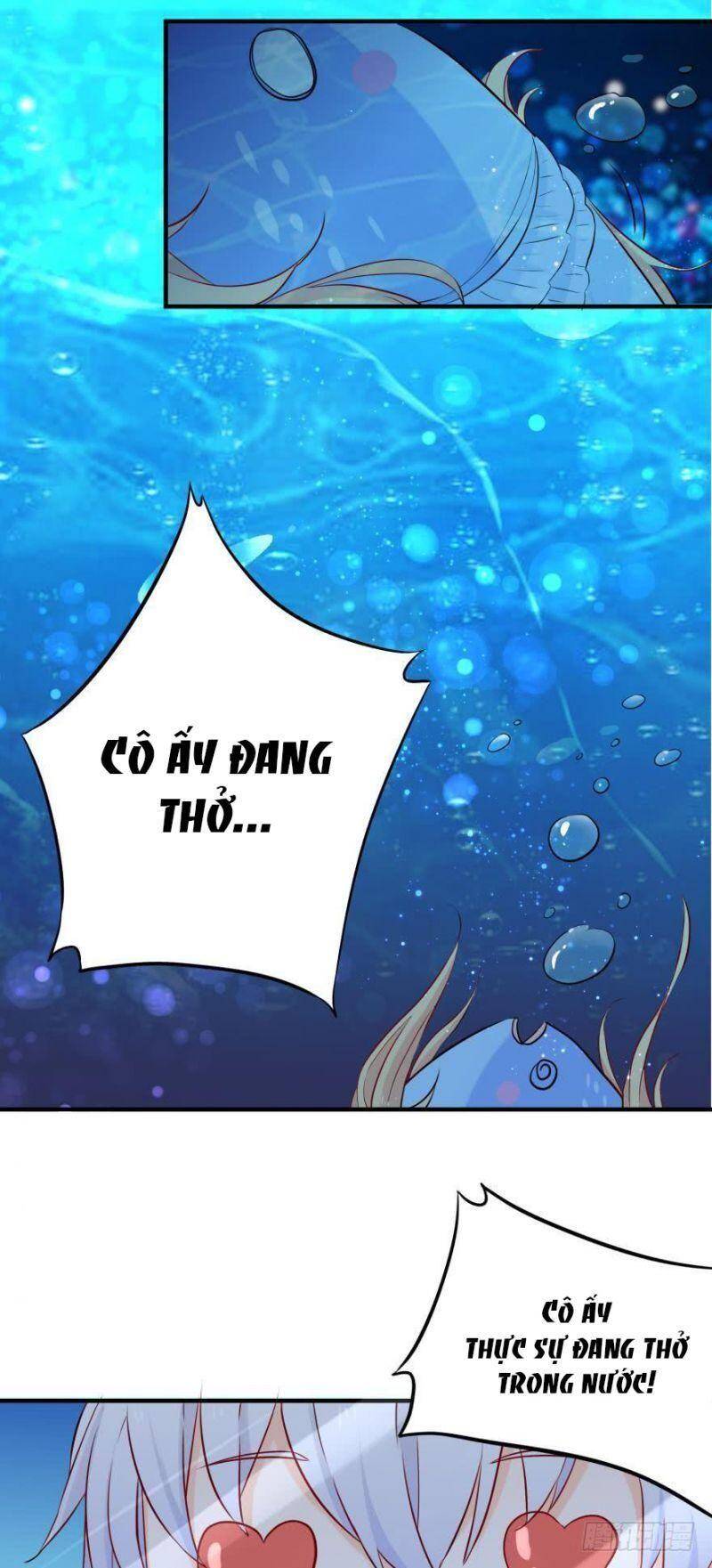 Nhân Ngư Học Trưởng, Đừng Ôm Ta! Chap 3 - Next Chap 4