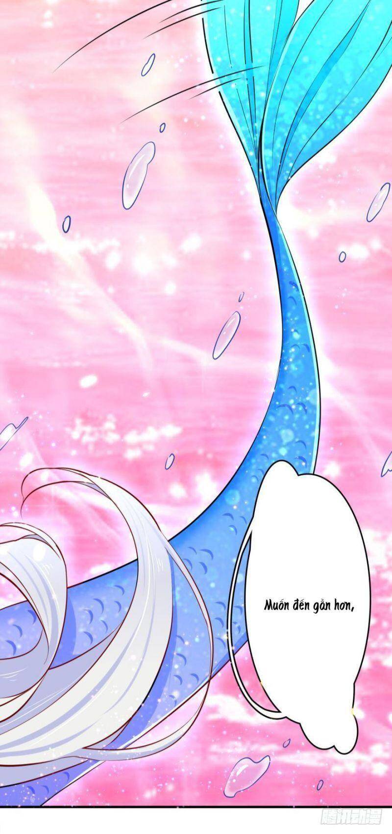 Nhân Ngư Học Trưởng, Đừng Ôm Ta! Chap 4 - Next Chap 5