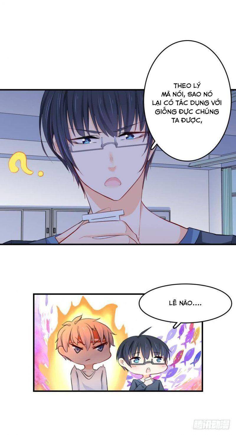 Nhân Ngư Học Trưởng, Đừng Ôm Ta! Chap 4 - Next Chap 5