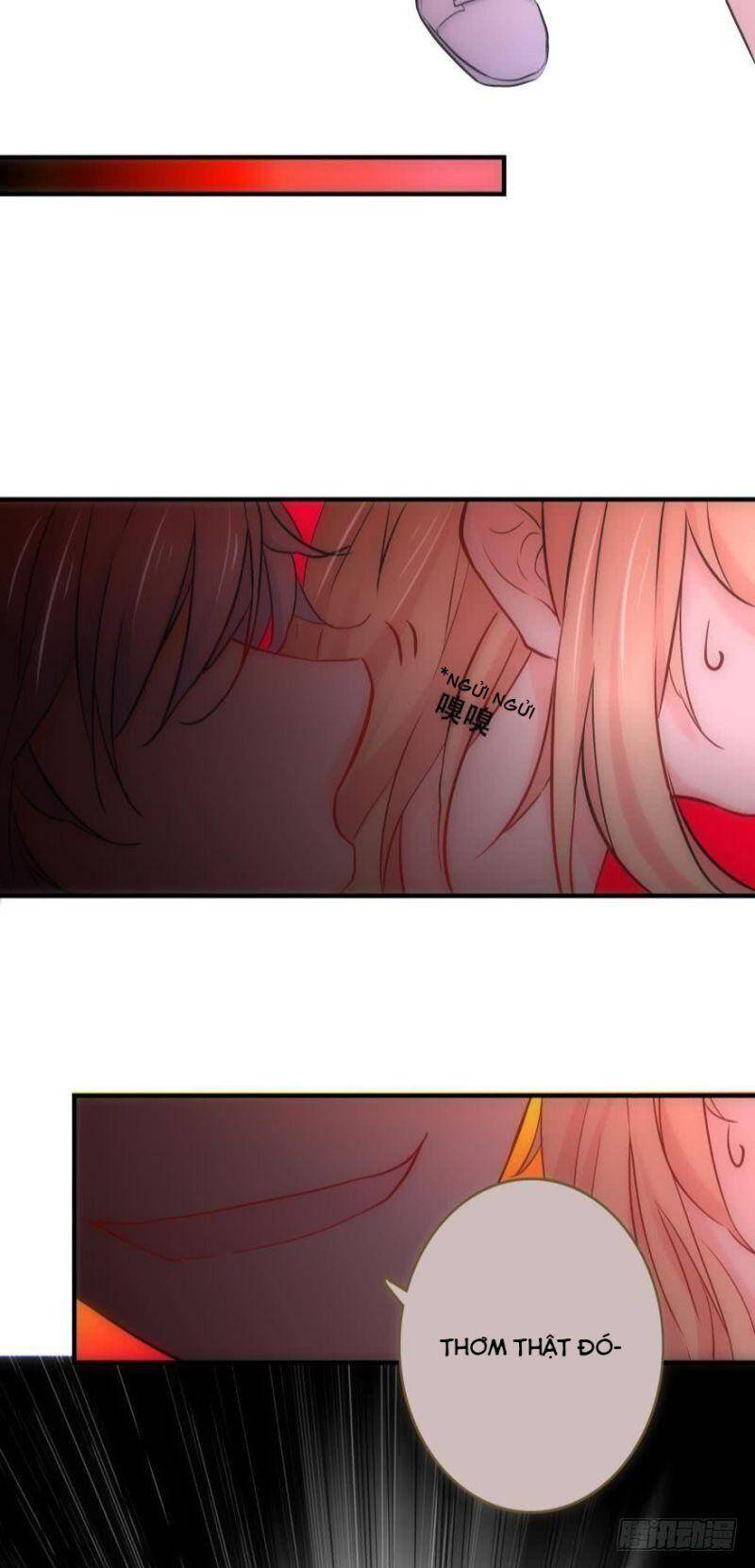 Nhân Ngư Học Trưởng, Đừng Ôm Ta! Chap 5 - Next Chap 6
