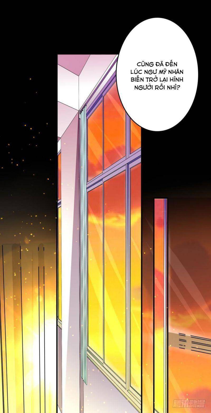 Nhân Ngư Học Trưởng, Đừng Ôm Ta! Chap 8 - Next Chap 9