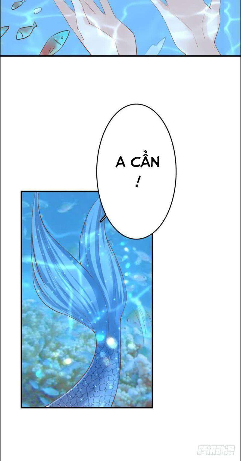 Nhân Ngư Học Trưởng, Đừng Ôm Ta! Chap 80 - Next Chap 81
