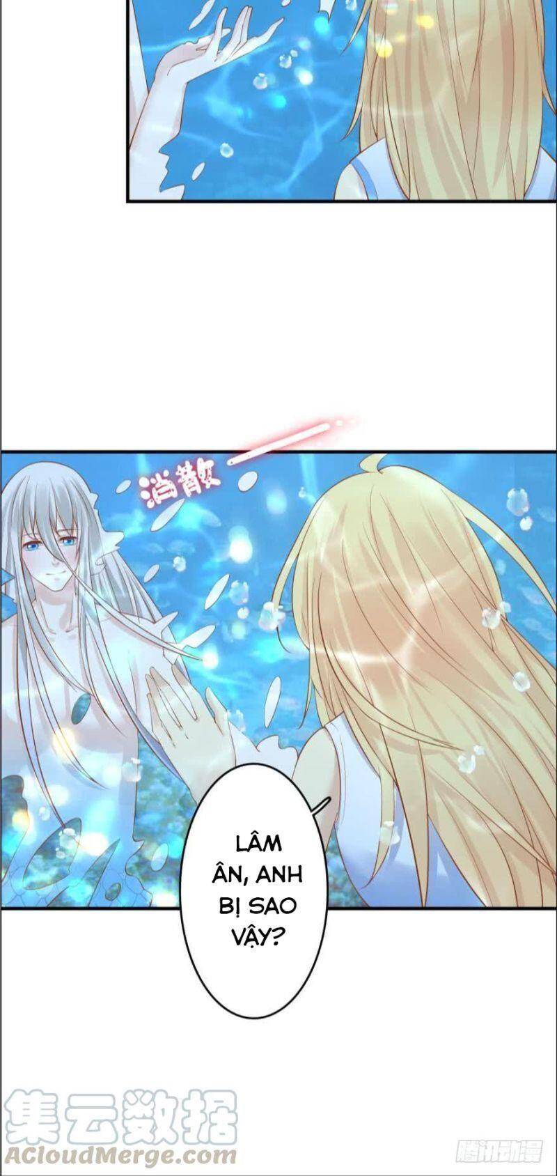 Nhân Ngư Học Trưởng, Đừng Ôm Ta! Chap 80 - Next Chap 81