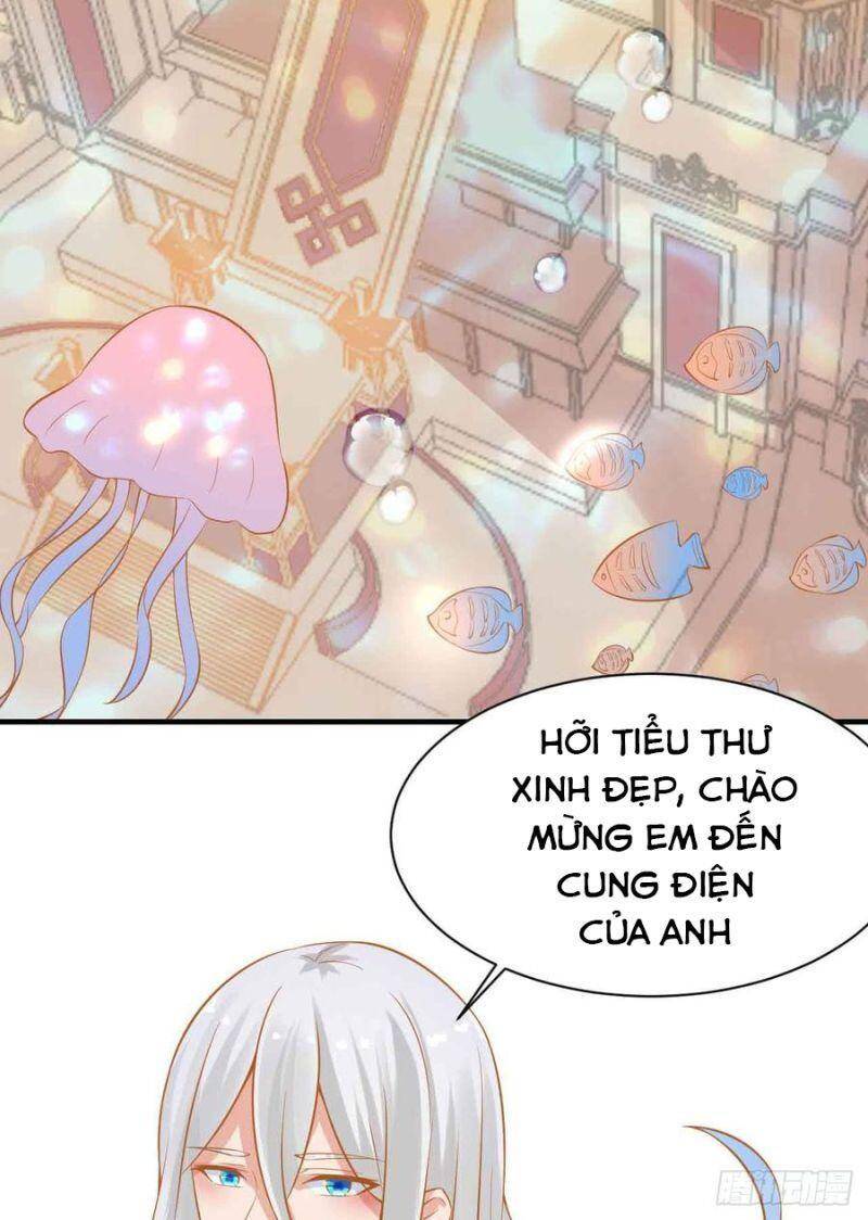 Nhân Ngư Học Trưởng, Đừng Ôm Ta! Chap 84 - Next Chap 85