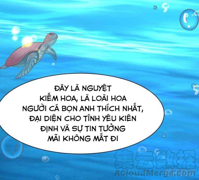 Nhân Ngư Học Trưởng, Đừng Ôm Ta! Chap 85 - Next Chap 86