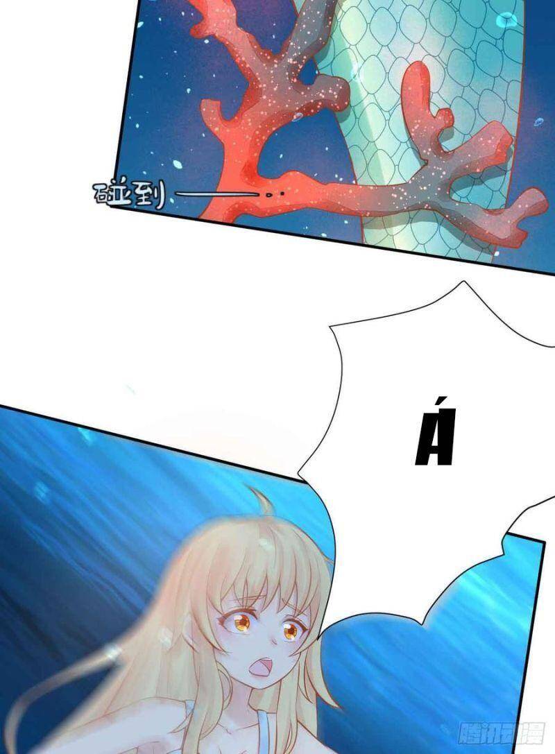 Nhân Ngư Học Trưởng, Đừng Ôm Ta! Chap 85 - Next Chap 86