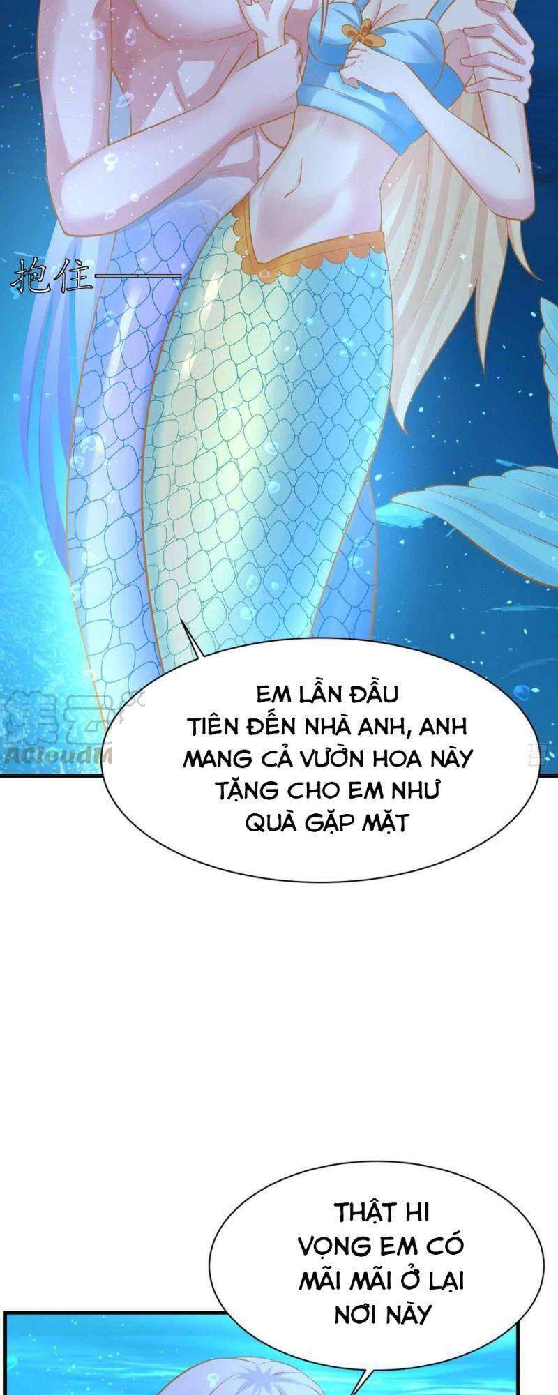 Nhân Ngư Học Trưởng, Đừng Ôm Ta! Chap 85 - Next Chap 86