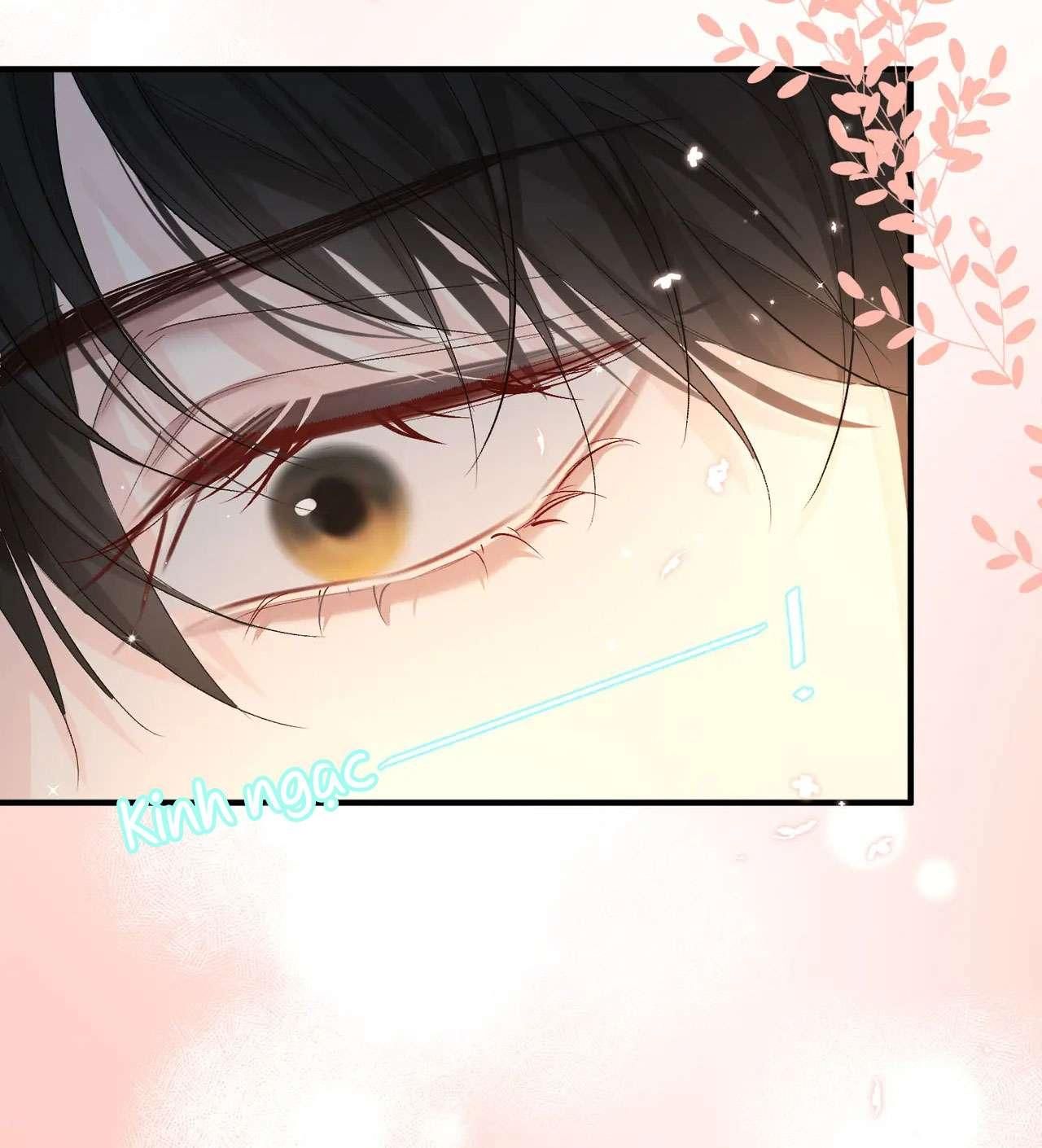Nhân Ngư Sa Ngã Chap 13 - Next Chap 14