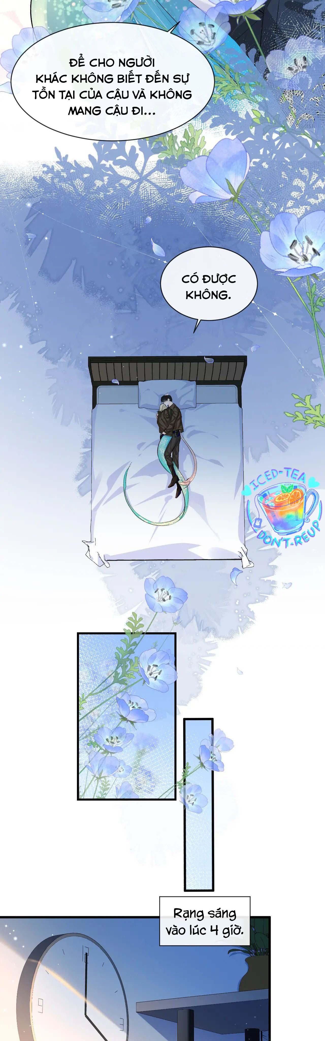 Nhân Ngư Sa Ngã Chap 15 - Next Chap 16