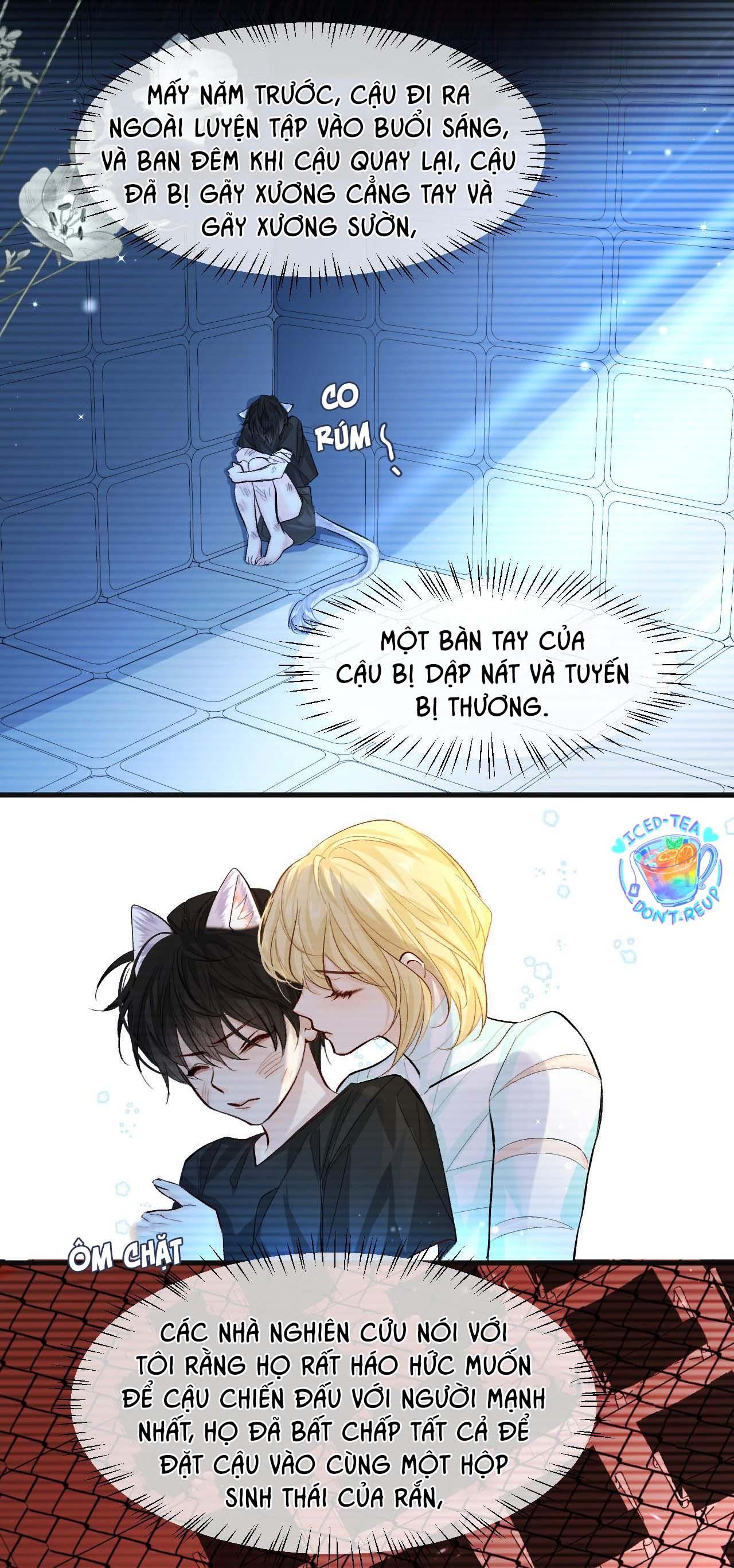 Nhân Ngư Sa Ngã Chap 19 - Next Chap 20