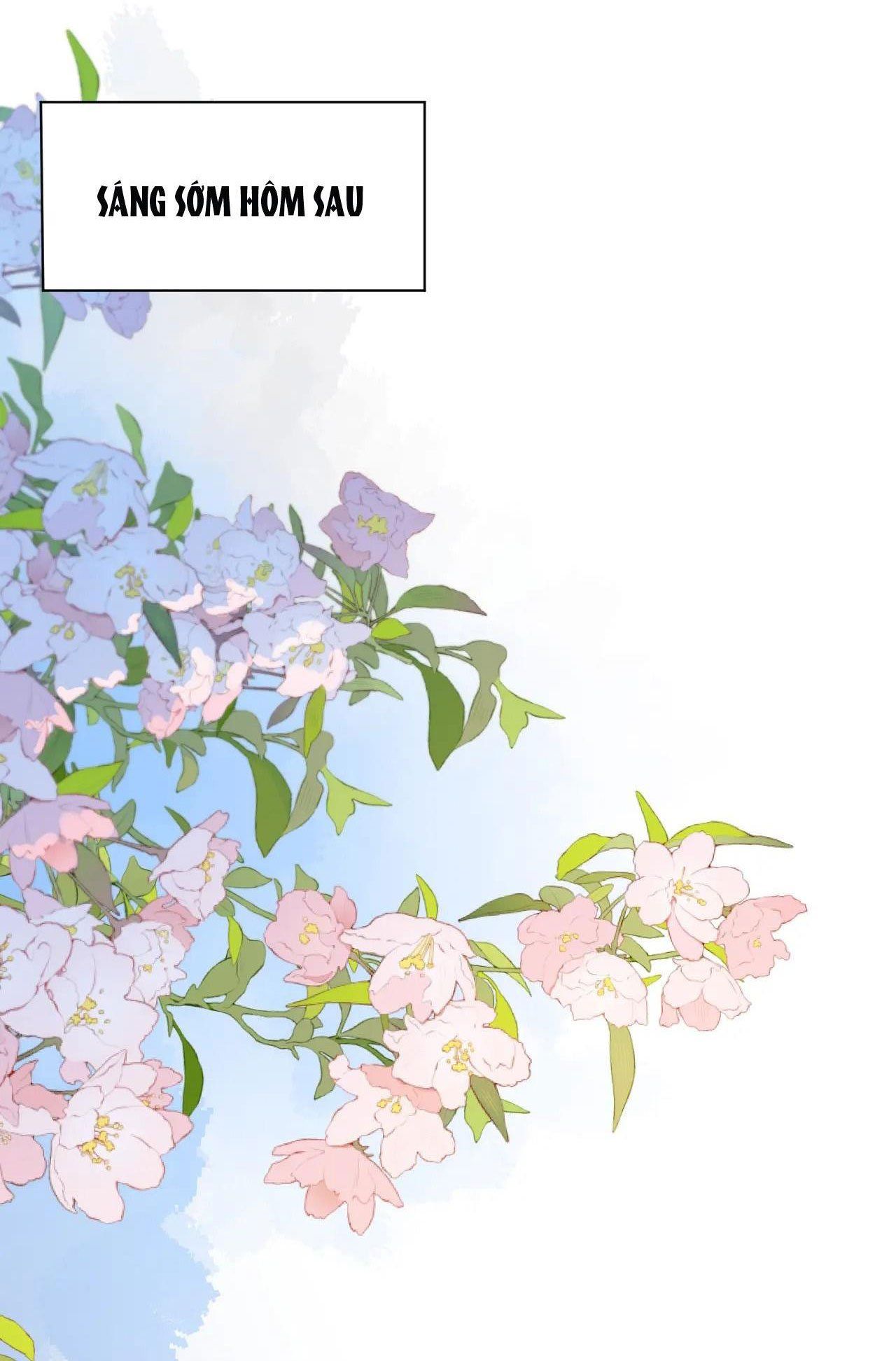 Nhân Ngư Sa Ngã Chap 442 - Next Chap 443