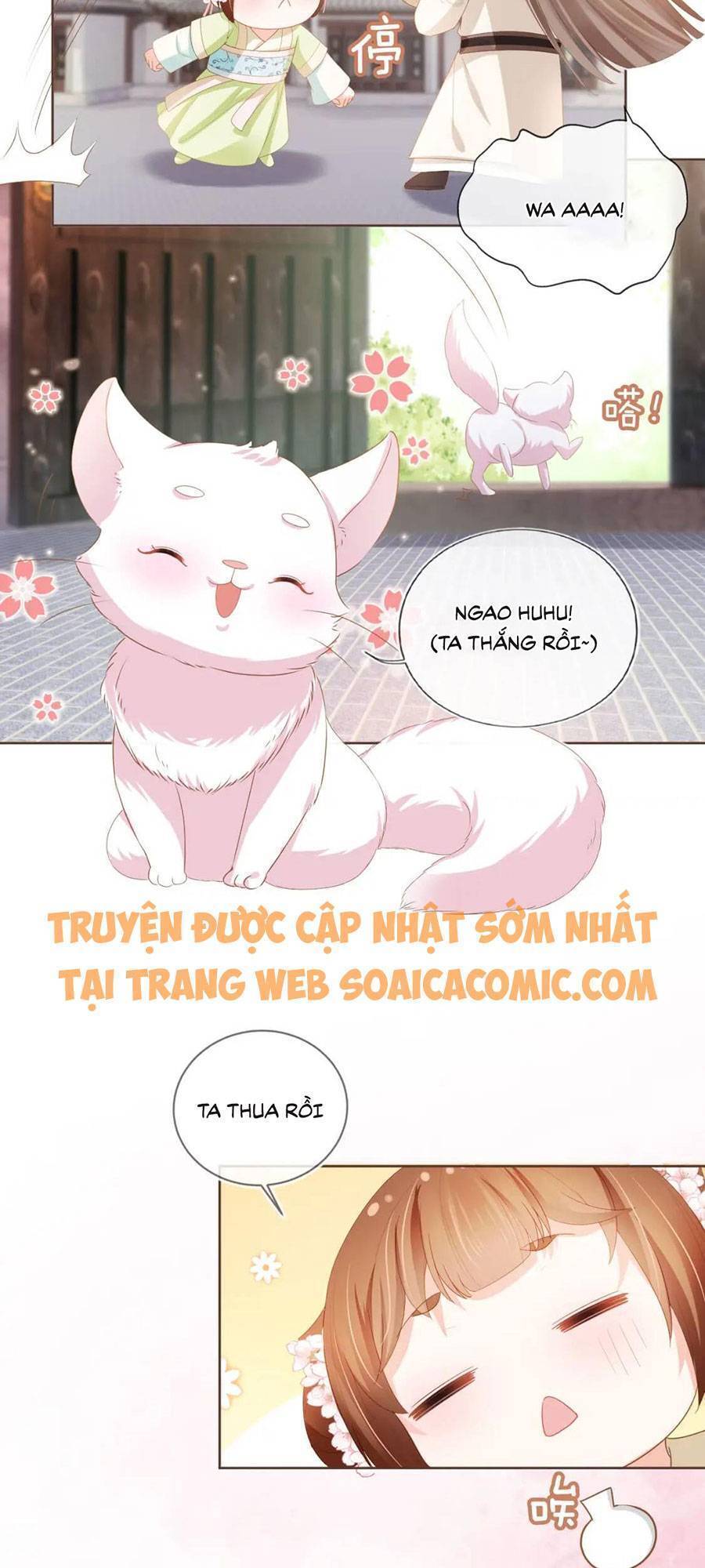 Nhặt Được Bảo Bối Manh Manh Chap 62 - Next Chap 63