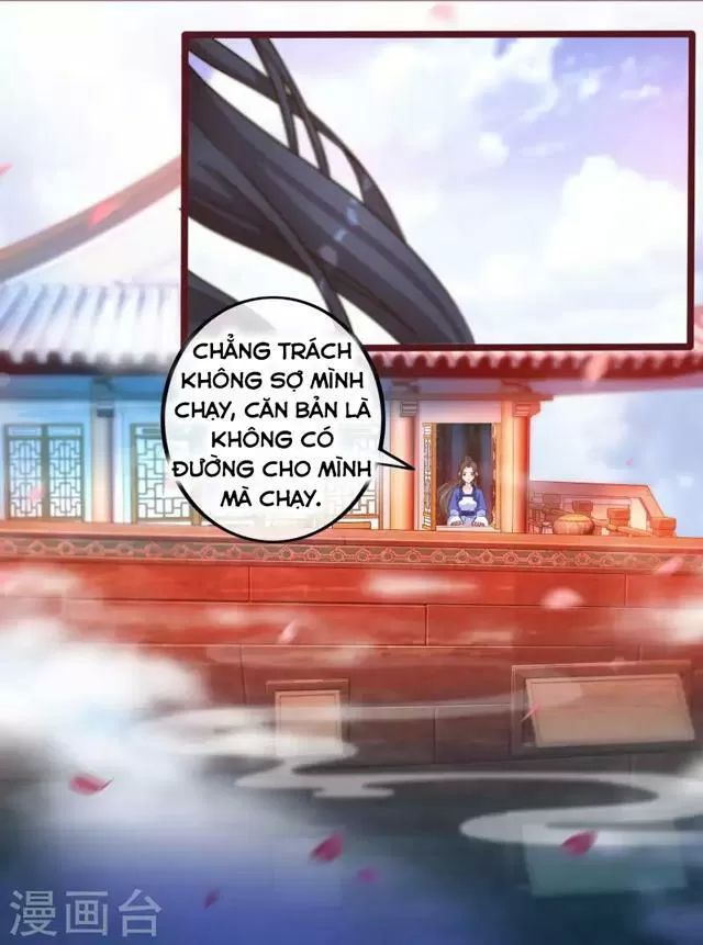 Nhặt Được Một Ma Tôn Đem Về Chăm Sóc Chap 40 - Next Chap 41
