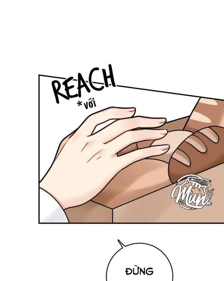 Nhật Ký Tuần Trăng Mật Của Phù Thủy Và Rồng Chap 94 - Next Chap 95