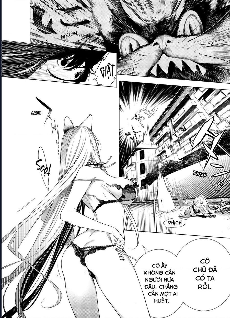 Những Câu Chuyện Huyền Bí Chap 137 - Next Chap 138
