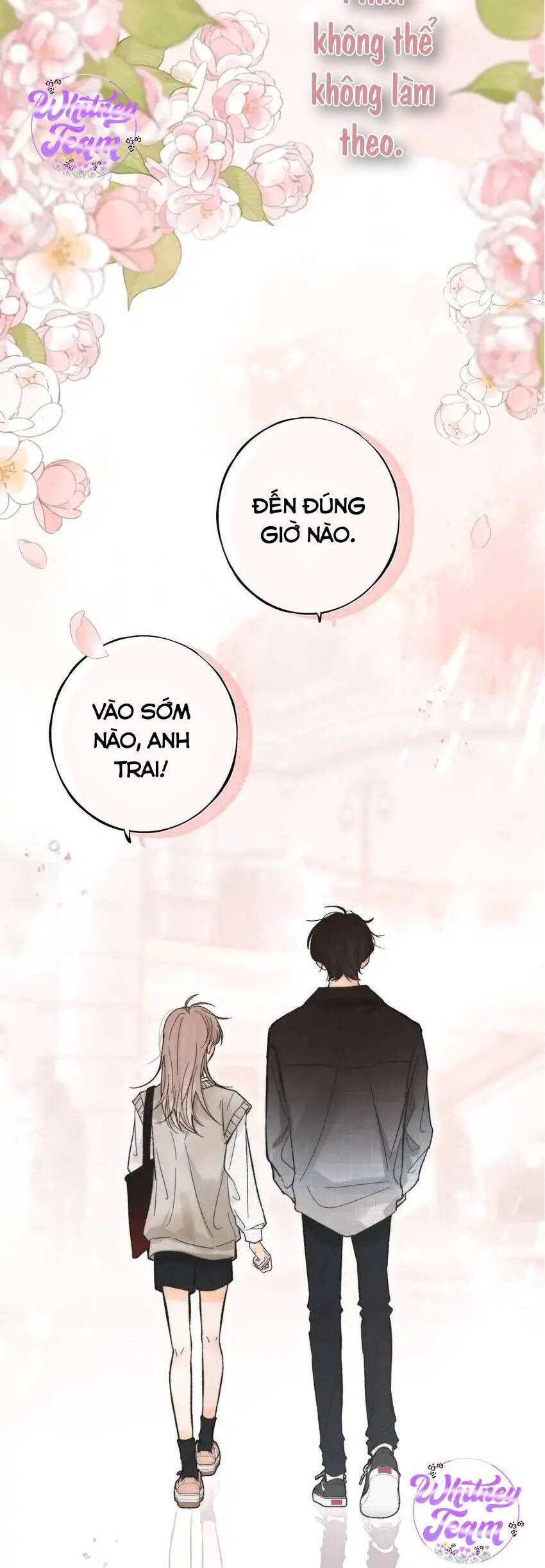 Những Ngày Thanh Xuân Của Tôi Chap 7 - Next Chap 8