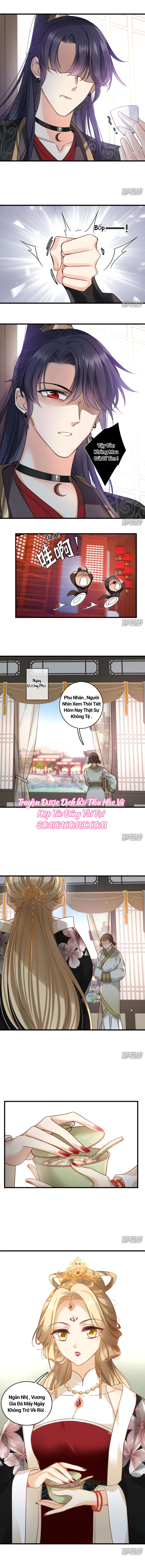 Nụ Cười Của Nàng Ngọt Làm Gãy 8 Cái Răng Của Ta Chap 11 - Next Chap 12