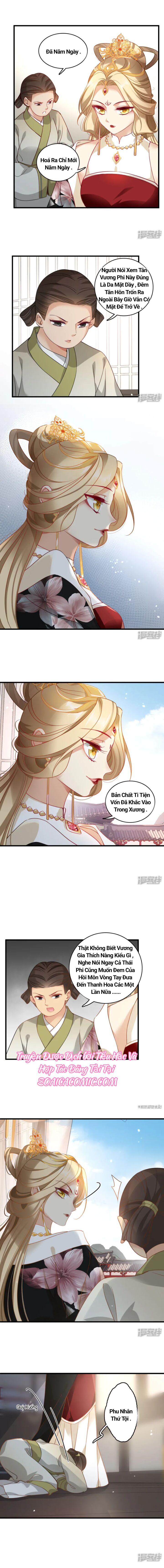 Nụ Cười Của Nàng Ngọt Làm Gãy 8 Cái Răng Của Ta Chap 11 - Next Chap 12